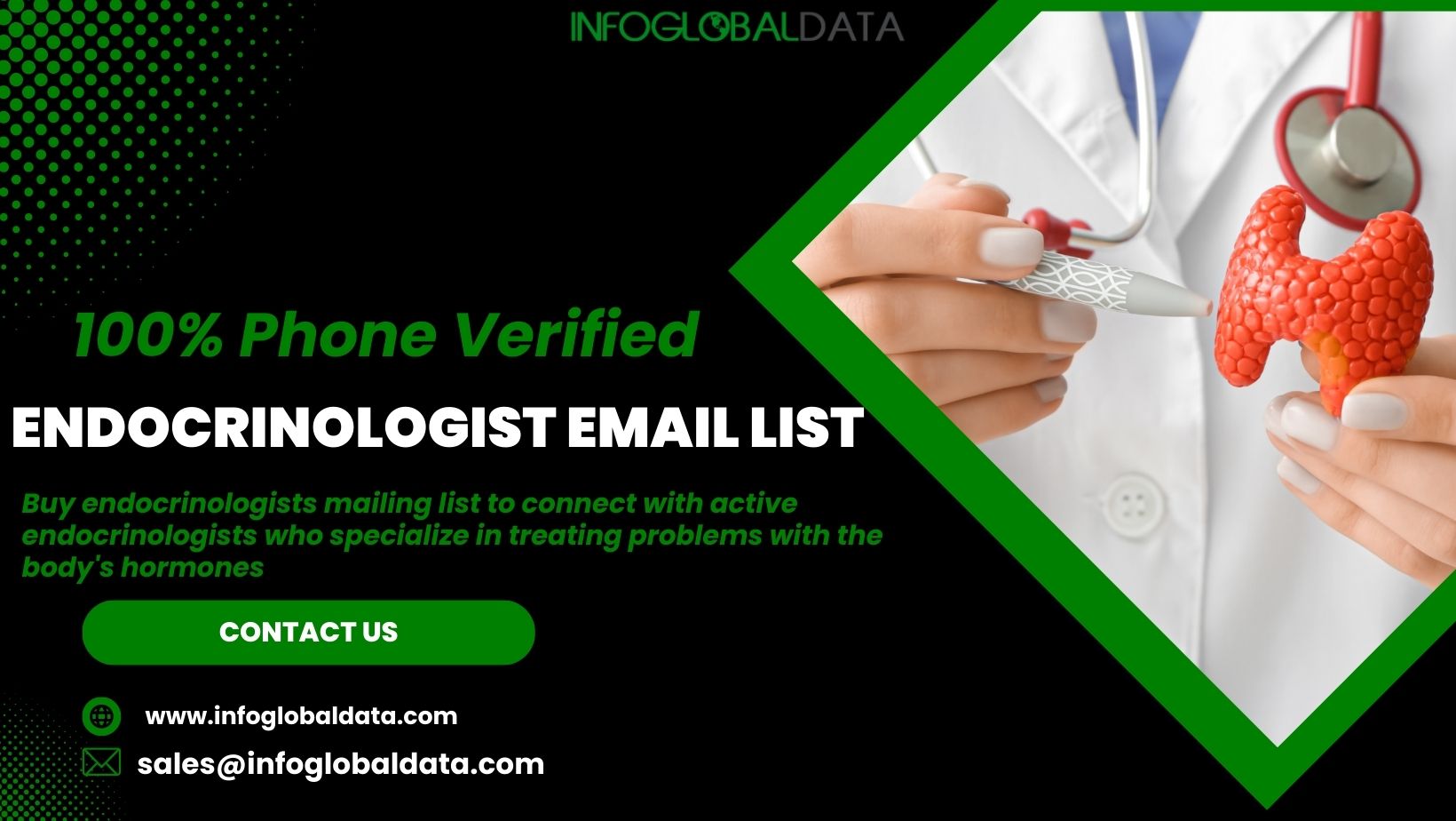 Enhance Your Campaigns with a Verified Endocrinologist Email Database