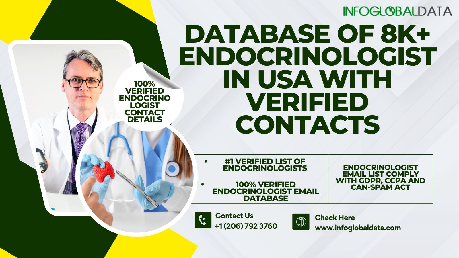 Enhance Your Marketing Strategies with an Endocrinologists Email List: A Targeted Industry Database