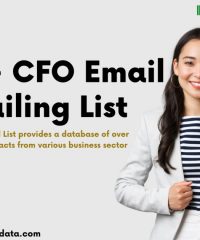 Maximizing Reach: Leveraging Email Marketing with Precision Targeting via CFO Email List