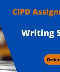 Assignment Help in UK