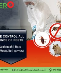 Several Types of Cockroach Pest Control by Zero Pest Solutions