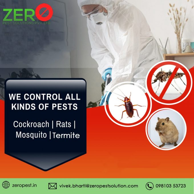 Several Types of Cockroach Pest Control by Zero Pest Solutions