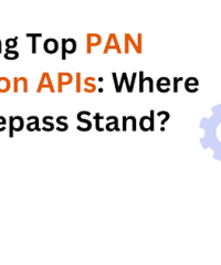 Comparing Top PAN Verification APIs: Where Does SurePass Stand?