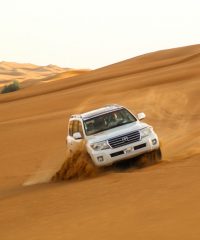 There are several ways to book a desert safari in UAE: