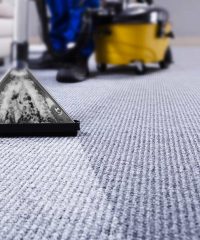 Professional Carpet Cleaning: The Secret to a Beautiful Home