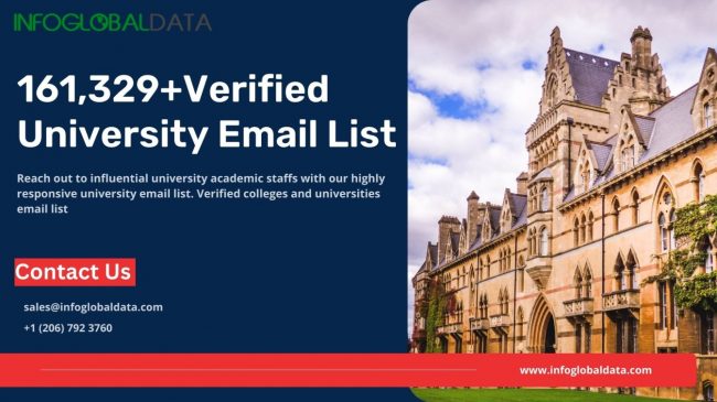 Elevating Your Strategy: Strategies for Effective B2B Email Marketing with University Email List