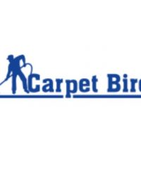 Carpetbird