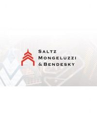 Saltz Mongeluzzi & Bendesky P.C.