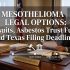 Mesothelioma Legal Options: Lawsuits, Asbestos Trust Funds, and Texas Filing Deadlines