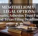 Mesothelioma Legal Options: Lawsuits, Asbestos Trust Funds, and Texas Filing Deadlines