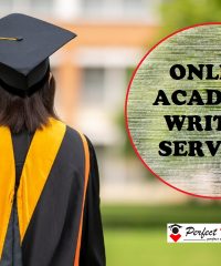 The online academic writing services we offer!