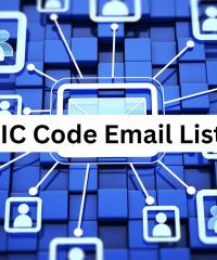 Unlocking Business Growth: Harnessing the Power of SIC Code Email Lists