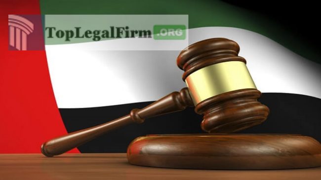 Labor Laws You Should Know Before Working in Dubai