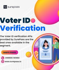 How Do You Verify The Authenticity Of A Fake Voter Id Card: A Full Guide