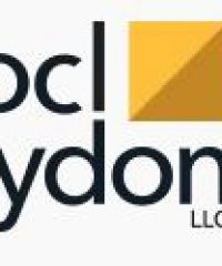 Wocl Leydon, LLC