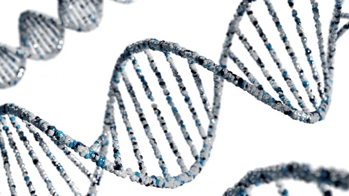 Novel antitumor activity of FAM193A protein