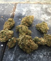 DC Cannabis buds weed delivery dc