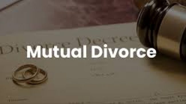 Navigating the Legal Landscape: A Comprehensive Guide to Mutual Divorce in India
