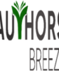 Affordable best authors services