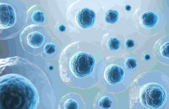 ADC Cleavable Linker: Classification and Mechanism of Action