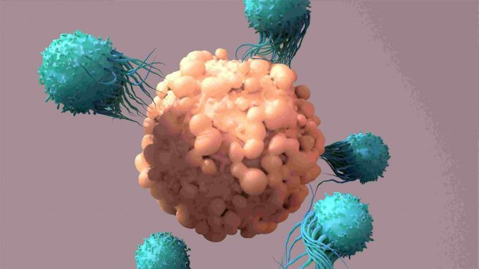 Bioconjugation Strategies for Enhancing Drug Delivery and Therapeutic Efficacy