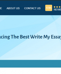 is there a website that will write my essay for me?