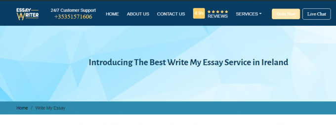 is there a website that will write my essay for me?